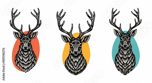 Three deer heads with antlers in black and white on colorful oval backgrounds