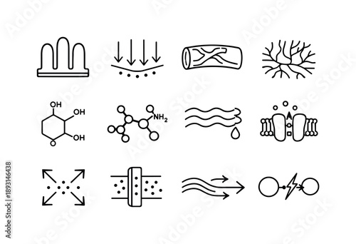 Nutrient Absorption Icons. Nutrient Absorption. Line icon set of Nutrient Absorption: intestinal villi, nutrient arrows, blood vessels, capillary network,