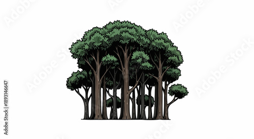 Dense cluster of tall trees with thick trunks and sprawling branches forming an intricate canopy of layered greens
