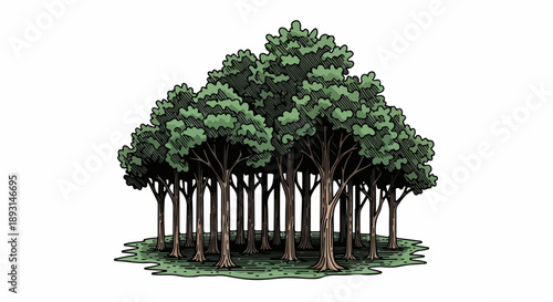 Detailed forest illustration with dense trees and light green grass
