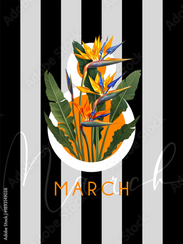 International Women's Day, March 8th greeting card. Vector illustration with blooming strelitzia flowers.