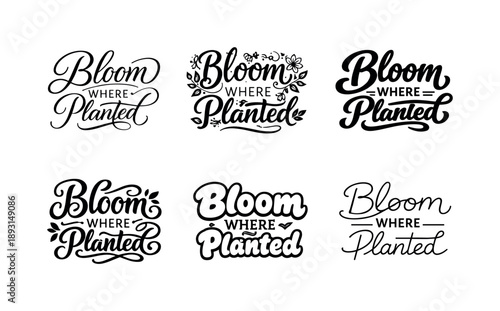 Harmonious Lettering Variations. Bloom where planted. Set lettering. harmonious lettering variations of the same emblematic concept, each with different
