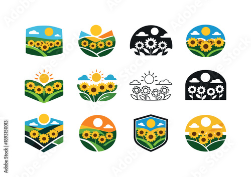 Sunflower Logo Variations. Field of sunflowers. Icon set. Set Logo of field of sunflowers: sunflowers under open sky. harmonious logo variations of the same