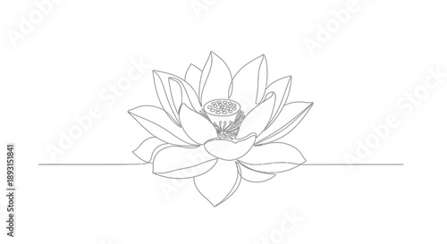 Simple Line Drawing of Water Lily Flower.