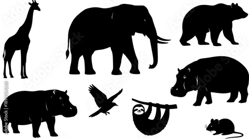 Animal silhouette vector set, wild zoo animals collection including giraffe, elephant, bear, hippo, sloth, bird, mouse, decorative wildlife design illustration