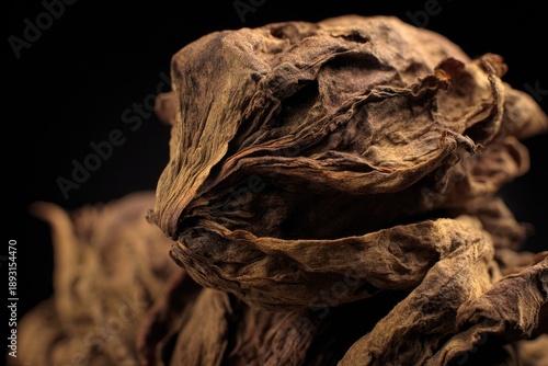 Close Up Dried Flower Detail