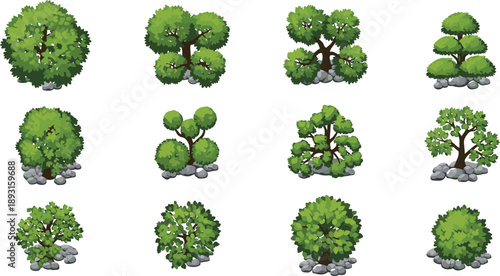 Green bushes and small trees with stones collection isolated on white garden landscape elements botanical vector illustration set