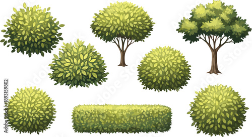 Green bushes hedges and small trees collection isolated on white garden landscape elements botanical nature vector illustration set