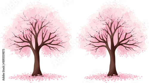 Pink cherry blossom sakura trees in full bloom isolated on white background spring nature floral vector illustration set