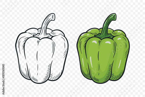 Vector Hand Drawn Cartoon Bell Peppers Set with Outline. Green Sweet Pepper Illustration. Fresh Vegetable for Food Market, Healthy Cooking, Vegetarian Recipe Design, Farm Organic Product Icon