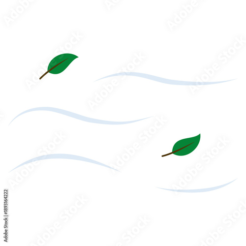 windy weather with leaves 