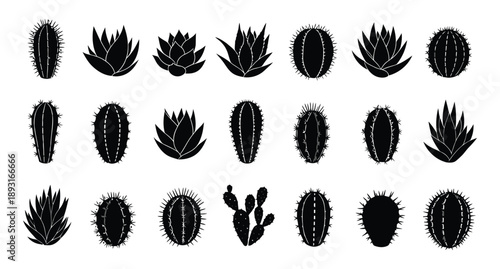 Collection of various cactus silhouettes