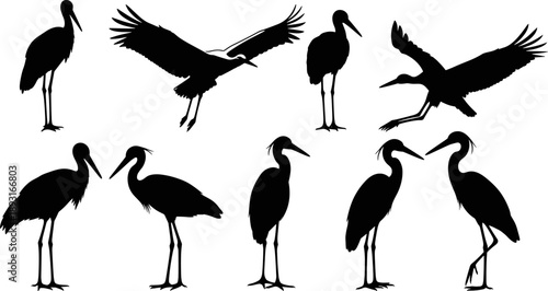 Black stork silhouettes collection showing standing and flying birds, elegant wetland wildlife icons isolated for nature design, conservation themes, educational materials, and vector illustration use
