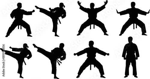 Martial arts silhouette illustration set showing karate fighters in dynamic combat stances and kicks, black vector training poses collection isolated on white background for sport design