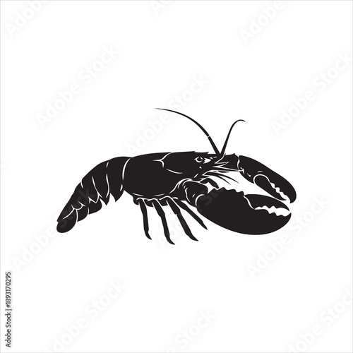 vector illustration of a black spider, Lobster Silhouette Icon on White Background. Vector - Vector