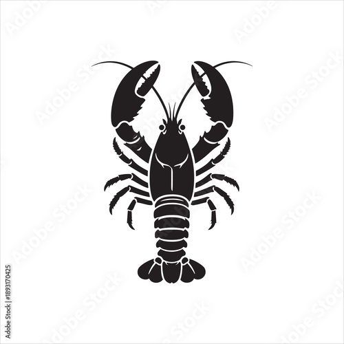 vector illustration of a black spider, Lobster Silhouette Icon on White Background. Vector - Vector