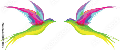 Colorful abstract flying birds vector illustration with paint splash wings vibrant gradient design modern artistic symmetry isolated white