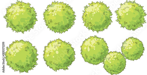 Top view green bushes shrubs foliage plants isolated set garden landscape elements for map design landscaping vector collection