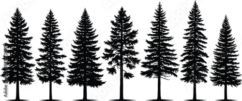 Black pine tree silhouette collection showing evergreen conifer forest elements, realistic nature shapes for landscape design, winter scenery, outdoor backgrounds