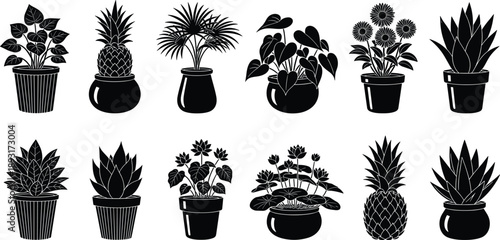 Black silhouette houseplants collection in pots, minimalist botanical vector icons set, indoor tropical plants, modern home decor elements isolated on white background