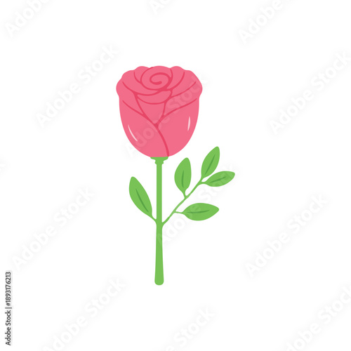 Beautiful pink rose flower with green leaves and stem