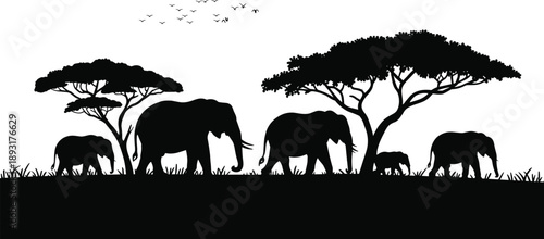 Stylized black and white of a family of elephants migrating across a grassy savanna with acacia trees and birds in flight against a white background