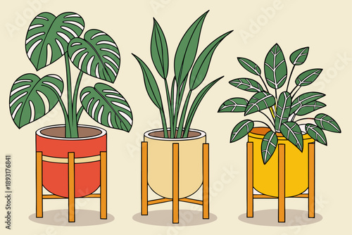 Colorful modern indoor plants illustration with three stylized potted plants featuring monstera, snake plant, and pothos in red, yellow, and green planters on wooden stands - flat design vector art