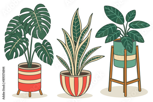 Set of three popular houseplants in decorative pots. flat vector illustration featuring monstera, snake plant, and calathea for home decor design projects.