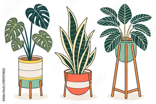 Vibrant vector illustration of three stylish houseplants in modern planters: monstera deliciosa, snake plant, and fiddle leaf fig in trendy pots