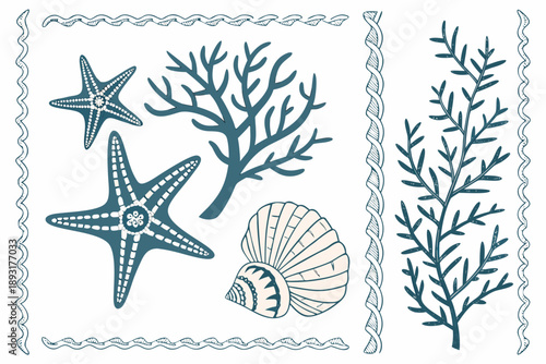 Nautical vector collection: starfish, seashell, and coral illustrations with decorative borders