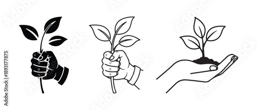 Hands Holding Plants Illustration Series Nature Growth Concept