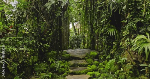 Mossy stepping stones winding through a lush green tropical jungle garden in Bali, creating a serene and peaceful pathway surrounded by dense foliage and natural arch window. Nature background