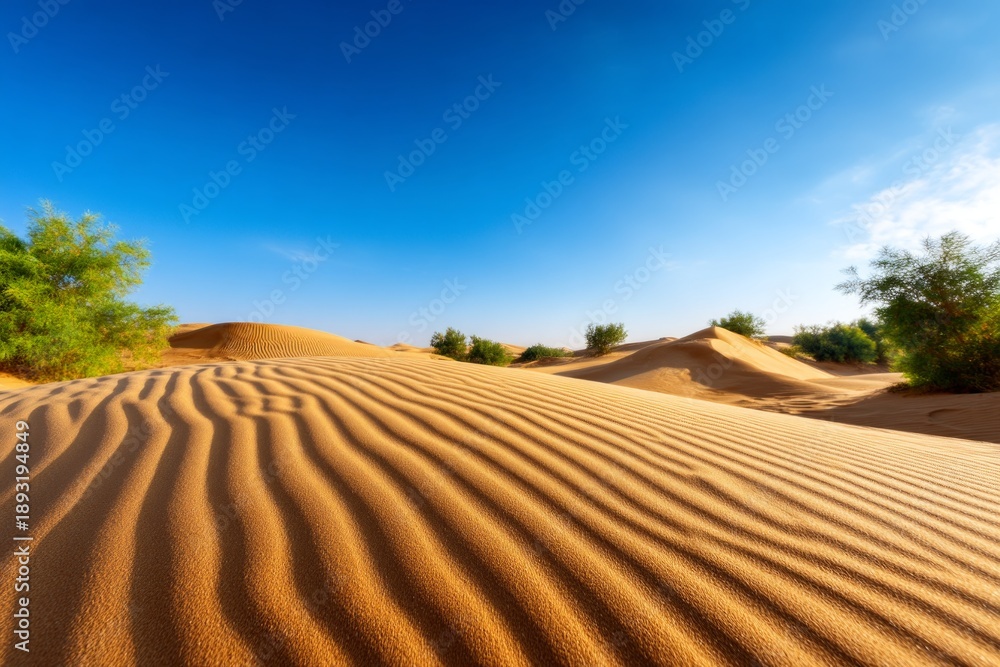 Fototapeta premium Serene Sand Dunes with Fresh Traces of Movement Under a Clear Sky