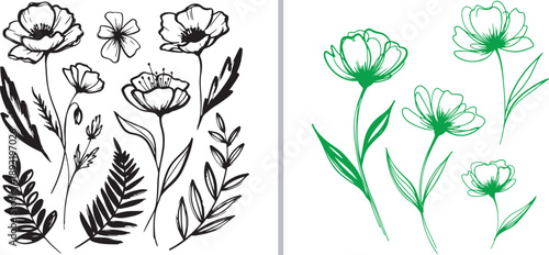 Hand-drawn botanical vector featuring elegant poppies and ferns in black ink and green line art. This collection offers a rustic, organic aesthetic for wedding stationery and nature-themed designs.