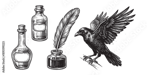 Quill Pen Inkwell Crow and Potion Bottles Engraving