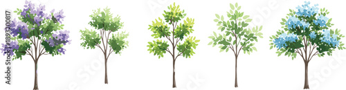 Set of decorative cartoon trees with green leaves and colorful blossoms, nature illustration collection for landscape design, spring season concepts, eco friendly graphics