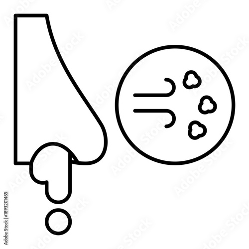 Dust Allergy Seasonal Allergic Rhin