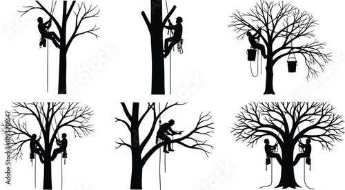 Tree climbers silhouettes set showing professional arborists pruning trimming and working at height using safety ropes isolated on white background vector illustration