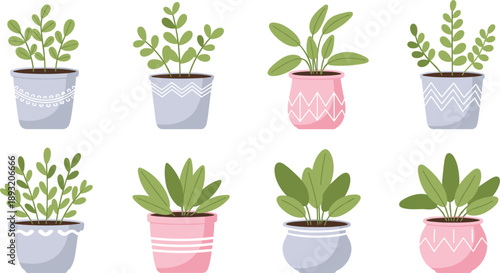 Decorative Potted Houseplants Illustration Set with Modern Patterned Pots