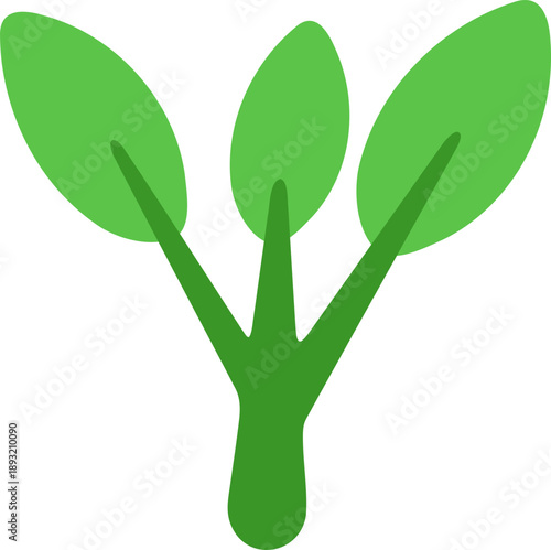 새싹_씨앗_풀_식물
