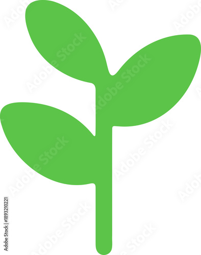 새싹_씨앗_풀_식물
