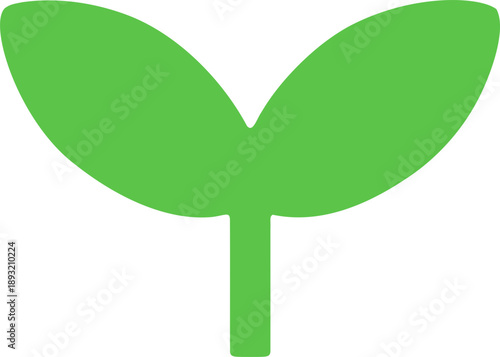 새싹_씨앗_풀_식물
