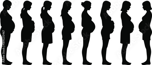 Pregnant women silhouettes set, maternity stages vector illustration, female pregnancy profiles, mother and baby concept, healthcare and family design isolated on white background