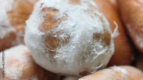 Wallpaper Mural Close-up macro view of moldy peanuts with visible fungal growth food contamination and spoilage. Concept of food safety, health risk, quality control, improper storage and expired agricultural product Torontodigital.ca
