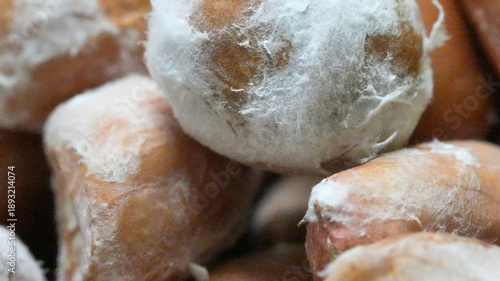 Wallpaper Mural Close-up macro view of moldy peanuts with visible fungal growth food contamination and spoilage. Concept of food safety, health risk, quality control, improper storage and expired agricultural product Torontodigital.ca