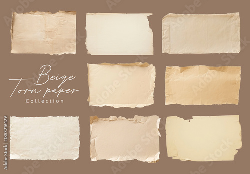 Beige Torn Paper Template Element Design Set