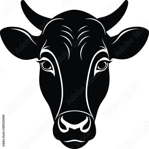 black and white cow