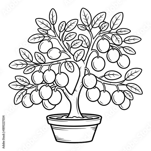 Potted Fruit Tree Coloring Page for Kids and Adults – Cute Botanical Line Art