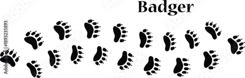 Badger Footprint Animal Track Isolated on White Background Vector EPS, Badger Footprint Wildlife Symbol