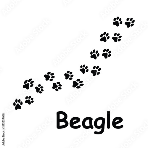 Beagle Paw Print Silhouette Vector, Beagle Paw Print Vector EPS